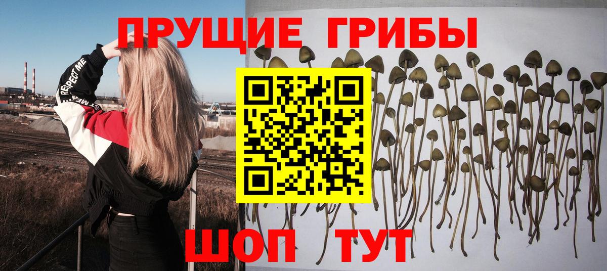 Усолье-Сибирское  Псилоцибиновые грибы ЛСД  Вход с VPN 